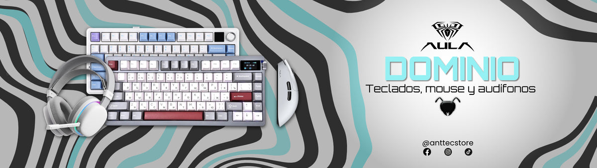 AULA: Dominio. Teclados, mouse y audífonos.