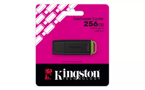 MEMORIA USB 256GB DTXG2 3.2 NEGRO