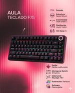 TECLADO F75 RAINBOW CABLEADO INGLÉS BLACK - RED SWITCH
