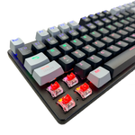 TECLADO NAXOS RAINBOW, SPANISH