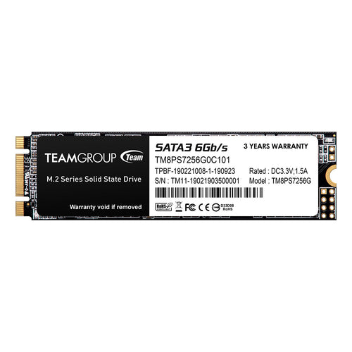 SSD M.2 TEAM GROUP 256GB MS30 TEAM GROUP