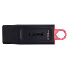 USB KINGSTON DATATRAVELER EXODIA 256GB, USB 3.2 GEN 1, COLOR ROJO. KINGSTON